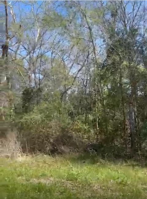 Vacant Land For Sale - 24961 Leitrim Street Street<br/> Waller County, Hempstead, TX 77445