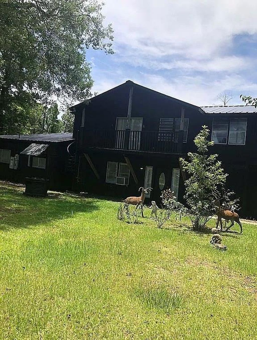 Photo of 20810 Deuster Lane, Porter, TX 77365 (MLS # 95679594)