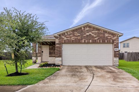 Photo of 2503 Skyview Long Drive, Houston, TX 77047 (MLS # 27633097)