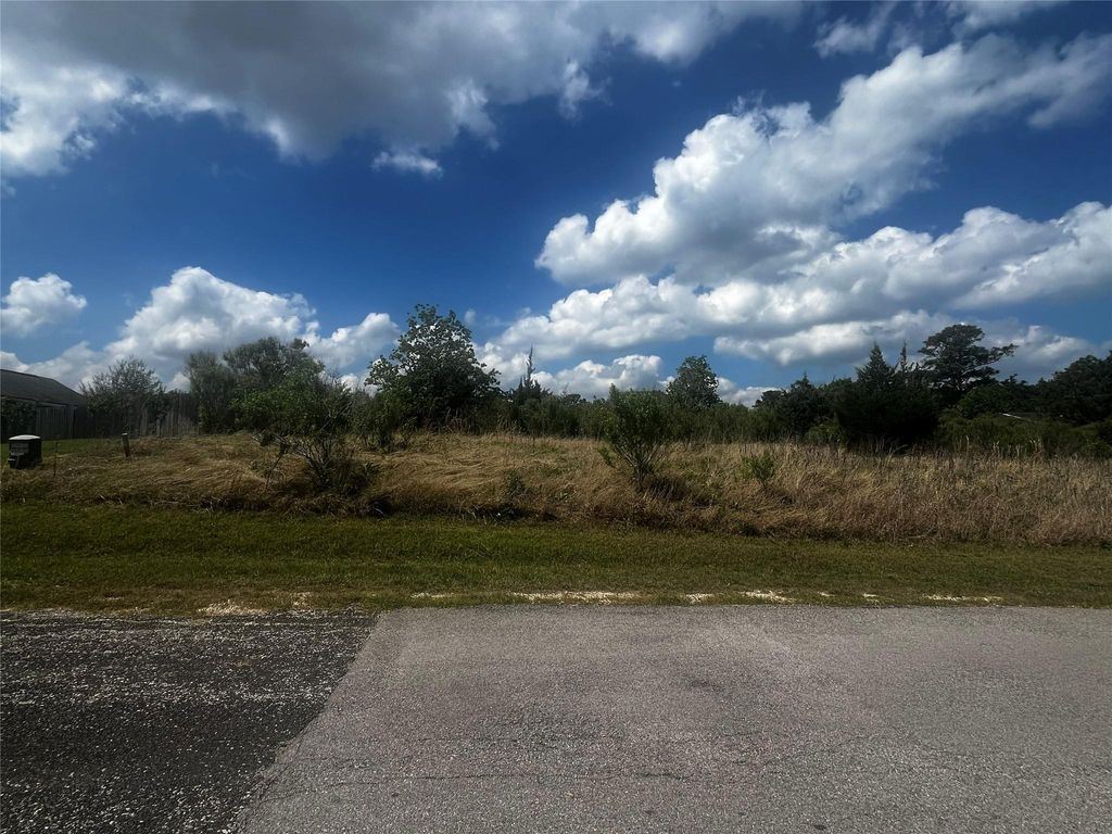 Photo of 170 N Pine Harbour Drive, Coldspring, TX 77331 (MLS # 35591426)