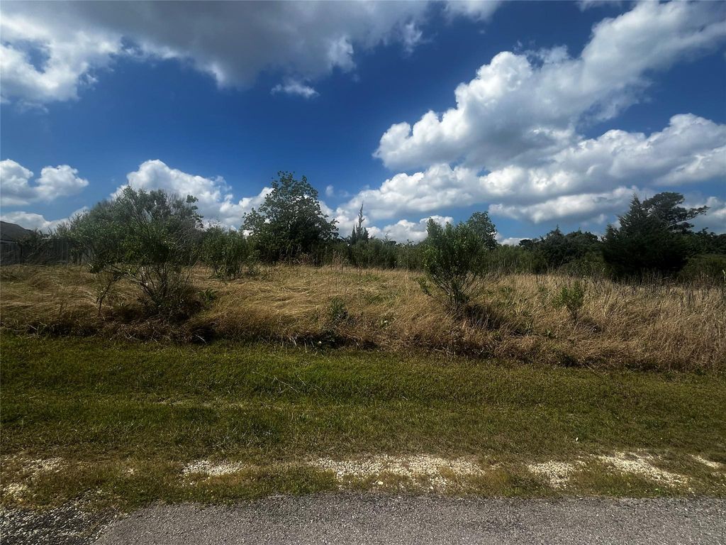 Photo of 170 N Pine Harbour Drive, Coldspring, TX 77331 (MLS # 35591426)