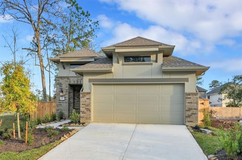 Photo of 322 Highland Bayou Drive, Conroe, TX 77304 (MLS # 27971741)