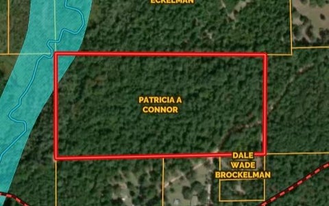 Photo of TBD Dillion Rd, Livingston, TX 77351 (MLS # 12522391)