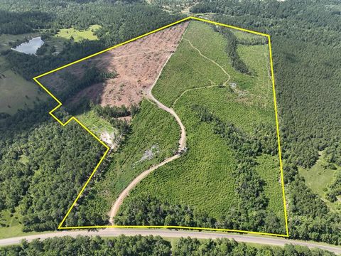 Photo of 3 Highway 63, Burkeville, TX 75932 (MLS # 34078370) Photo of 3 Highway 63, Burkeville, TX 75932 (MLS # 34078370)