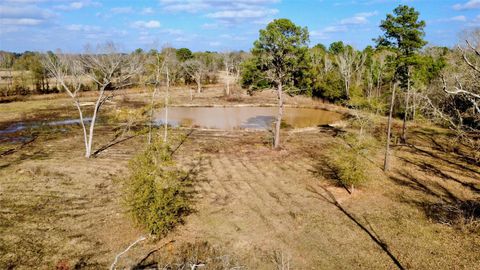 Vacant Land For Sale - 373 County Road 2125<br/> Houston County, Crockett, TX 75835