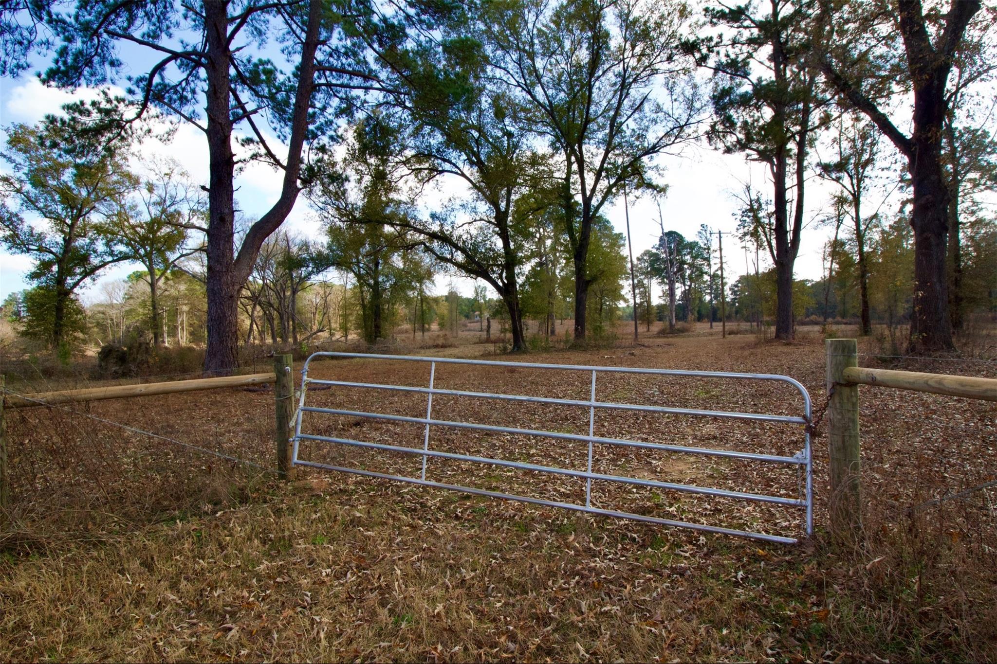 373 County Road 2125