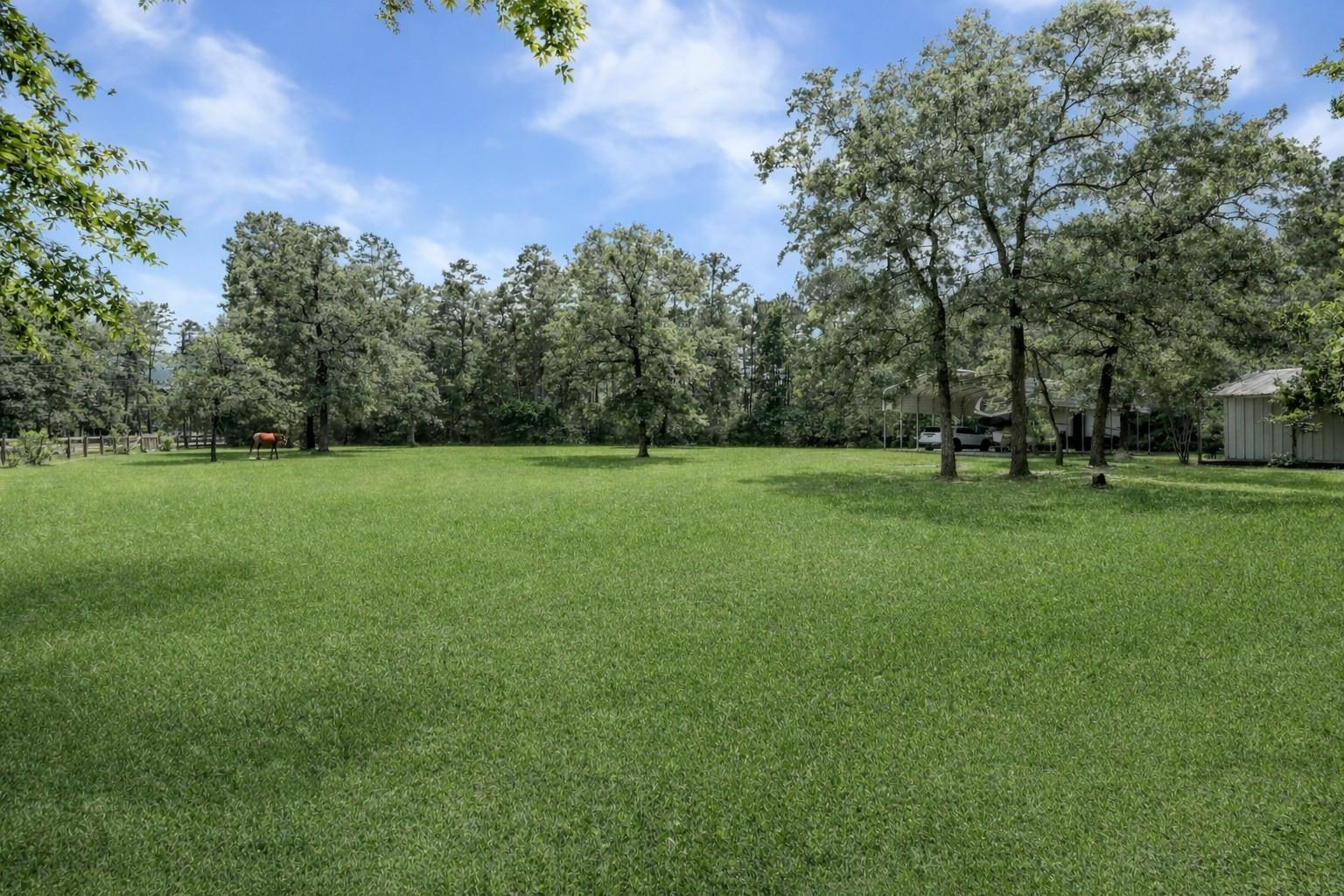 30311 N Holly Oaks Circle