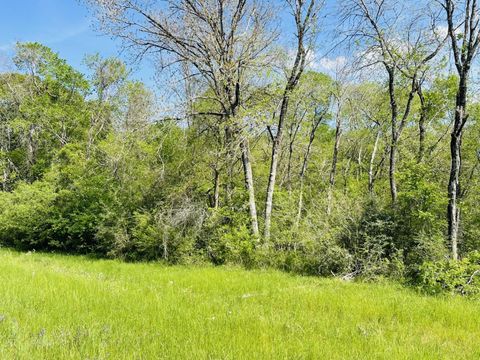 Vacant Land For Sale - 0000 Fm 1791<br/> Huntsville, TX 77340