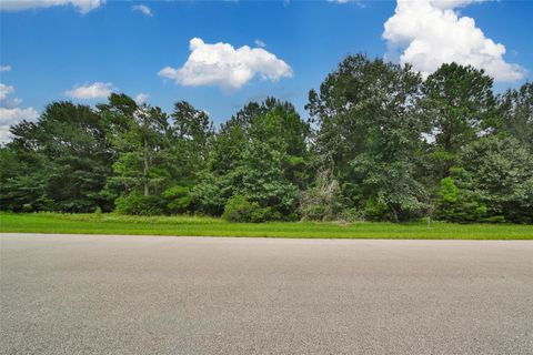 Photo of 26180 Enzos Way, Montgomery, TX 77316 (MLS # 66264917)