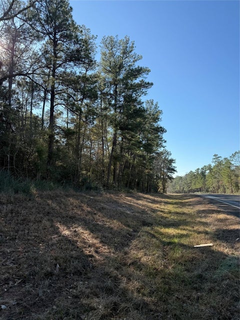 Photo of TBD E Fm 942, Corrigan, TX 75939 (MLS # 87073691)