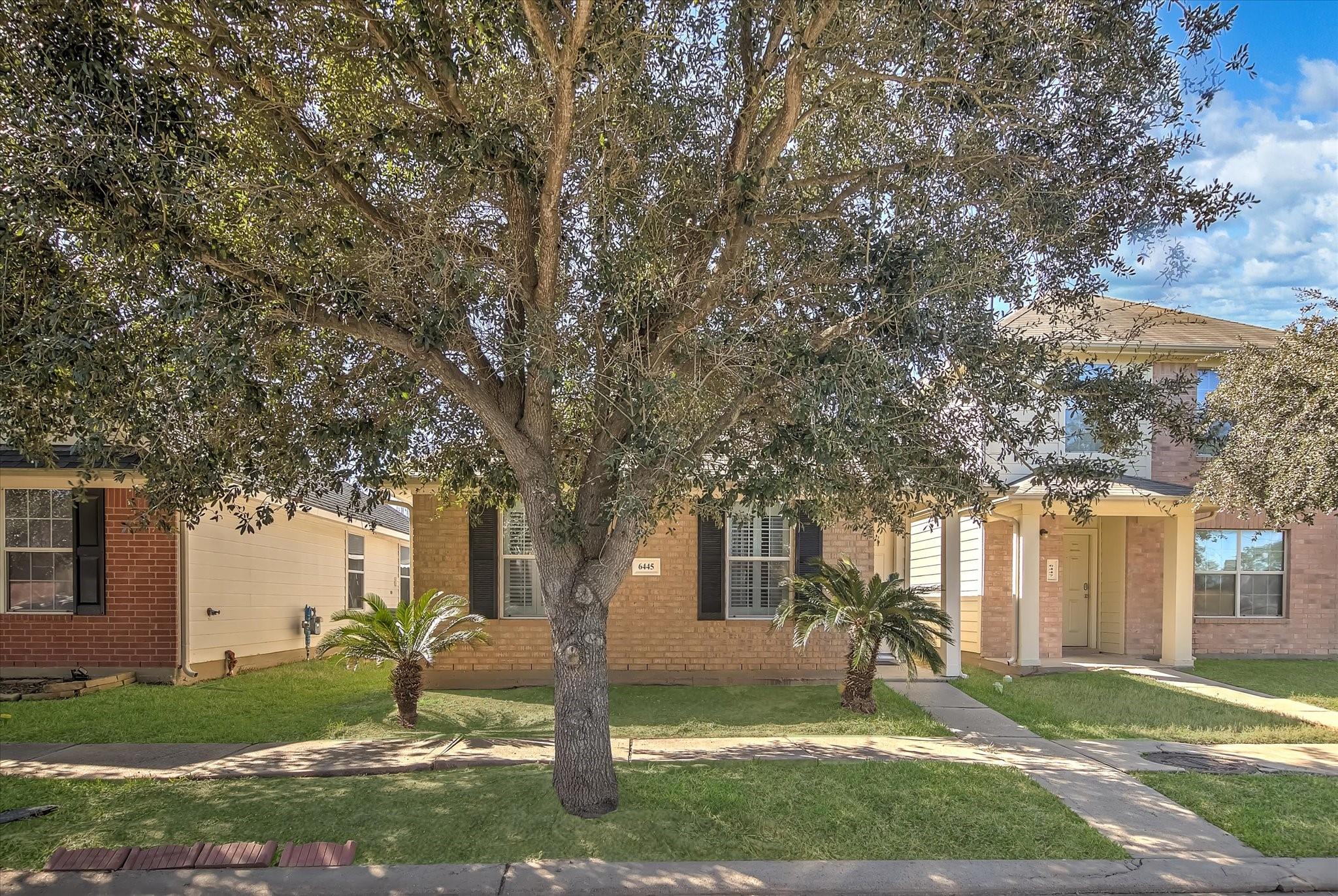 6445 Mountain Pines Lane