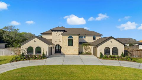 3907 Water Ash Way Fulshear TX 77441