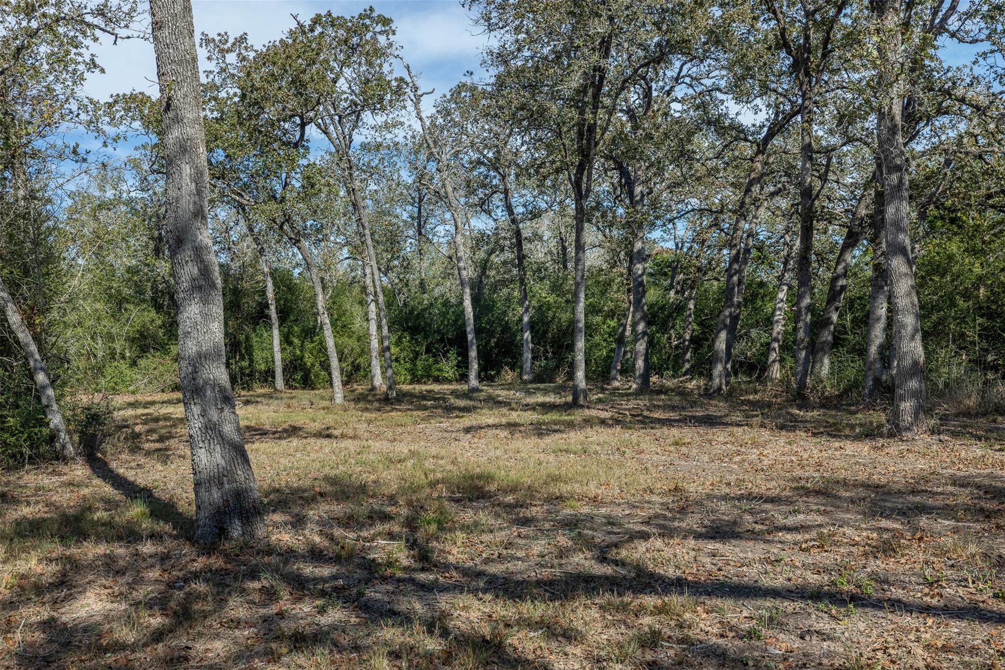 217 Timberlake Drive