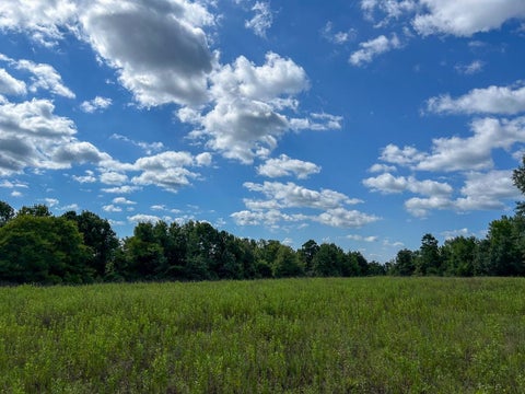 Photo of TBD County Road 1804, Rusk, TX 75785 (MLS # 18476264)