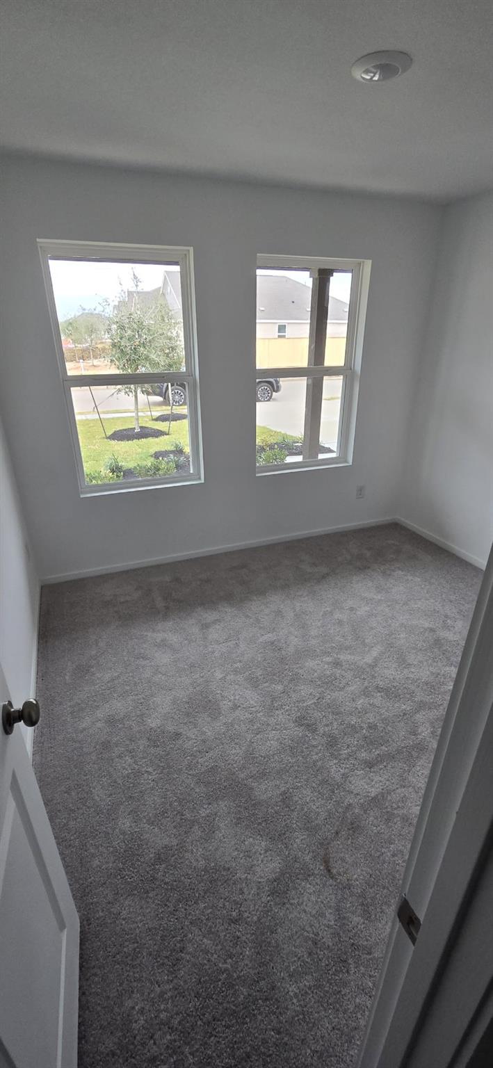 26523 Pampas Grass Lane