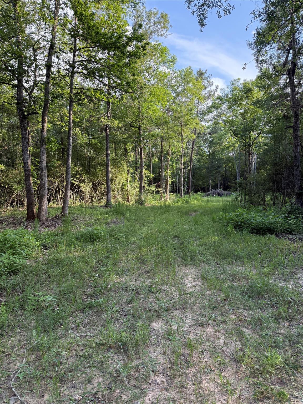 TBD E Capps Road Road