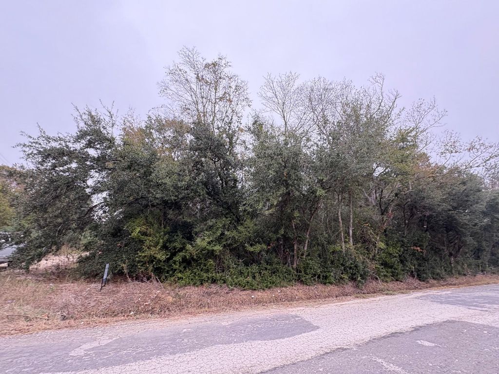 Photo of 0 County Road 605, Dayton, TX 77535 (MLS # 30580388)