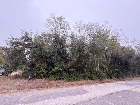Vacant Land For Sale - County Road 605<br/> Dayton, TX 77535