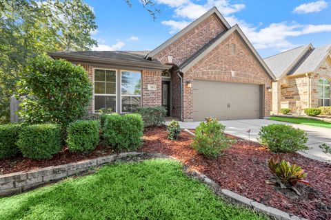 110 Logan Pass Court Montgomery TX 77316