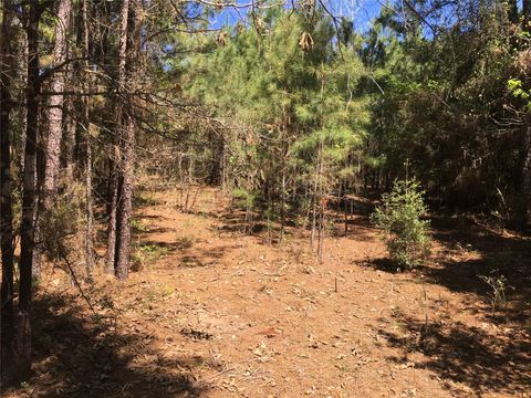 Photo of 0 E Marion Ab 720 18 22 Ac, Kennard, TX 75847 (MLS # 56584377)