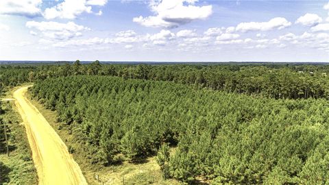 Photo of TBD Stutts Hill, Livingston, TX 77351 (MLS # 81391354)