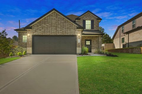 Photo of 4325 Windswept Drive, Montgomery, TX 77356 (MLS # 64638919)