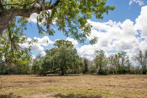 Vacant Land For Sale - 10 ACRES Cr 320<br/> Brazoria County, Brazoria, TX 77833