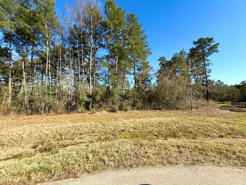 26601 Buchanan Court Magnolia TX 77355