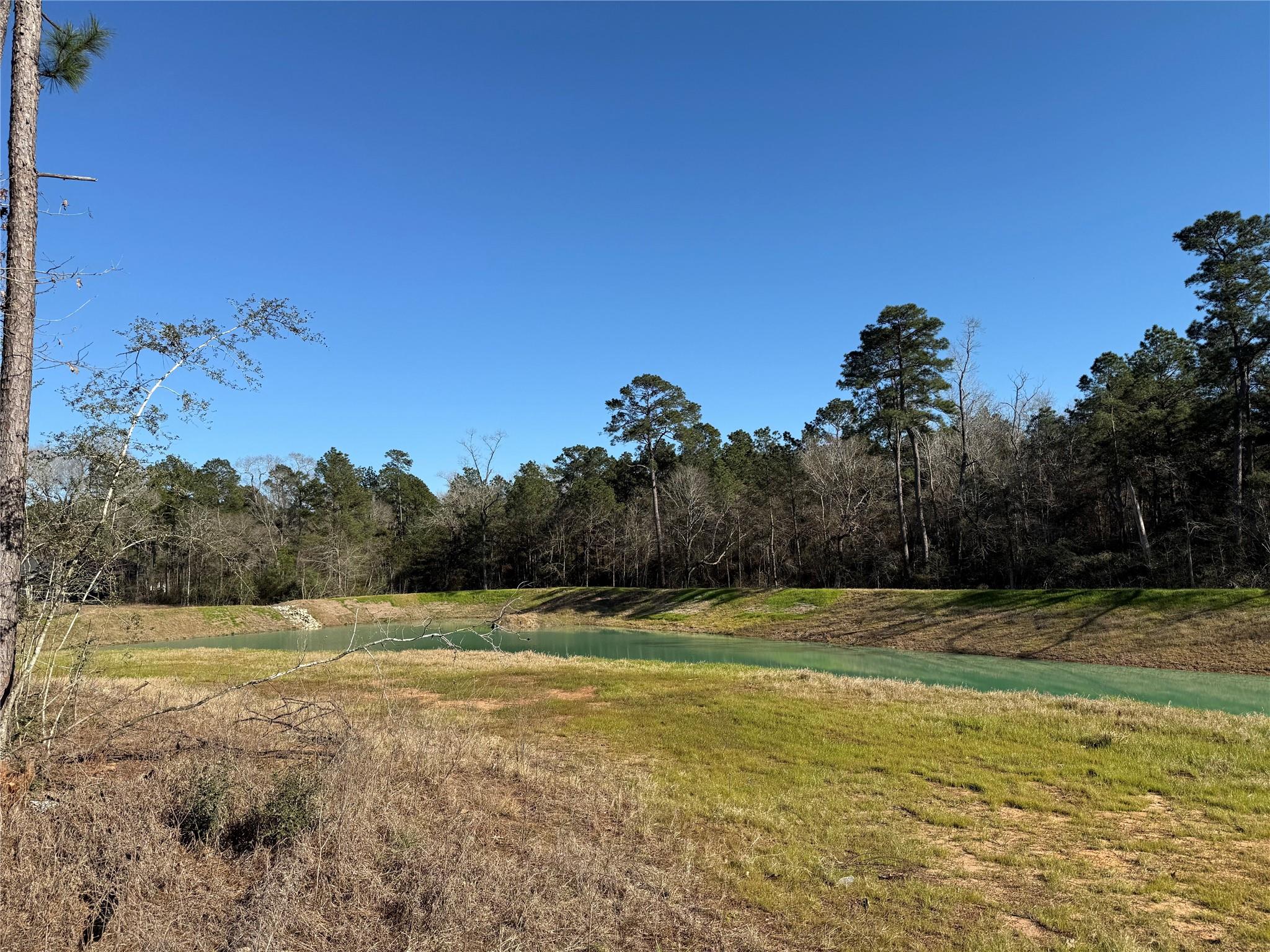 26601 Buchanan Court