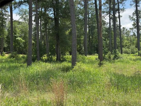 Photo of 9 Private Road 6028 Tract 1-9, Brookeland, TX 75931 (MLS # 16878369)