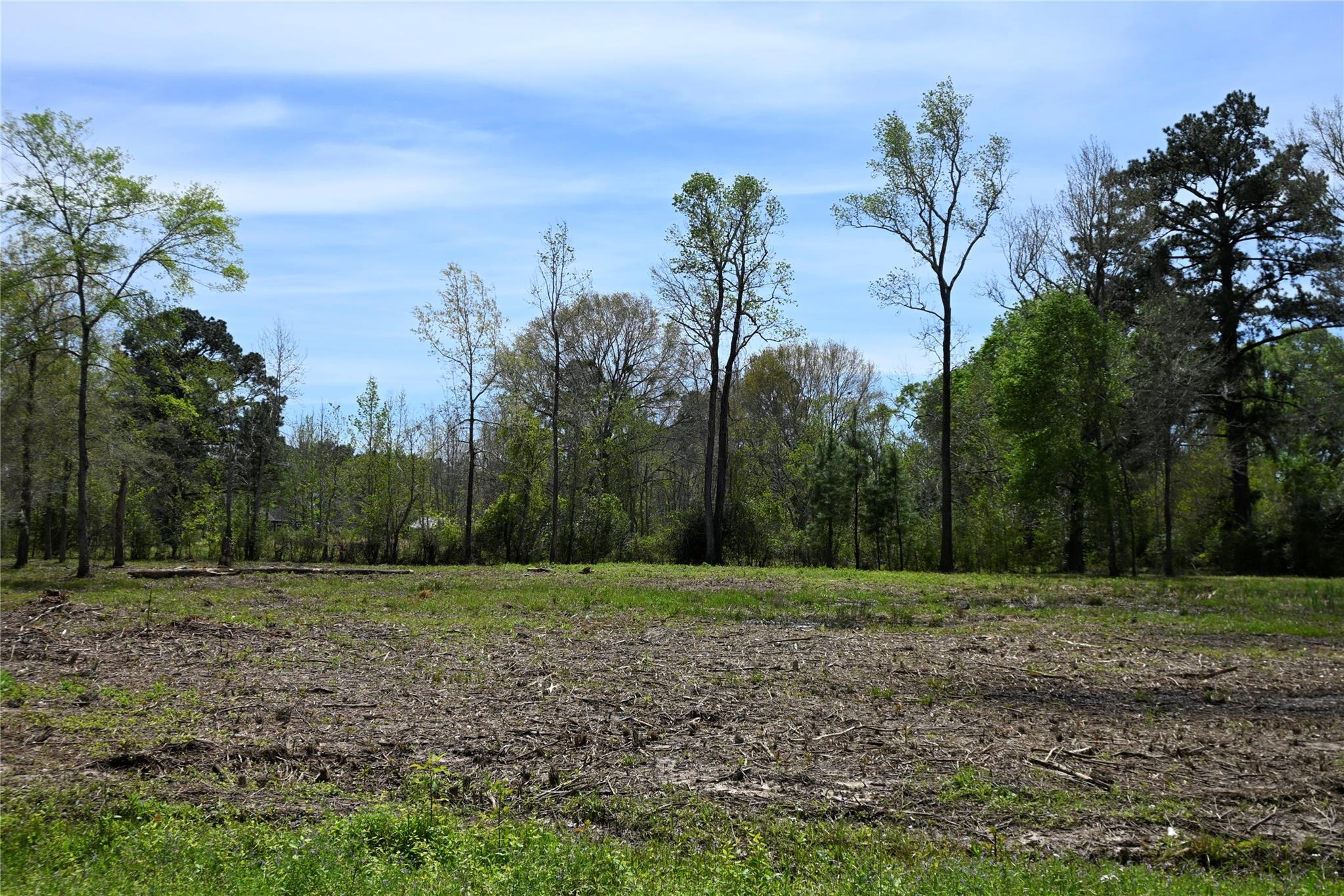 lot 3 County Road 2360