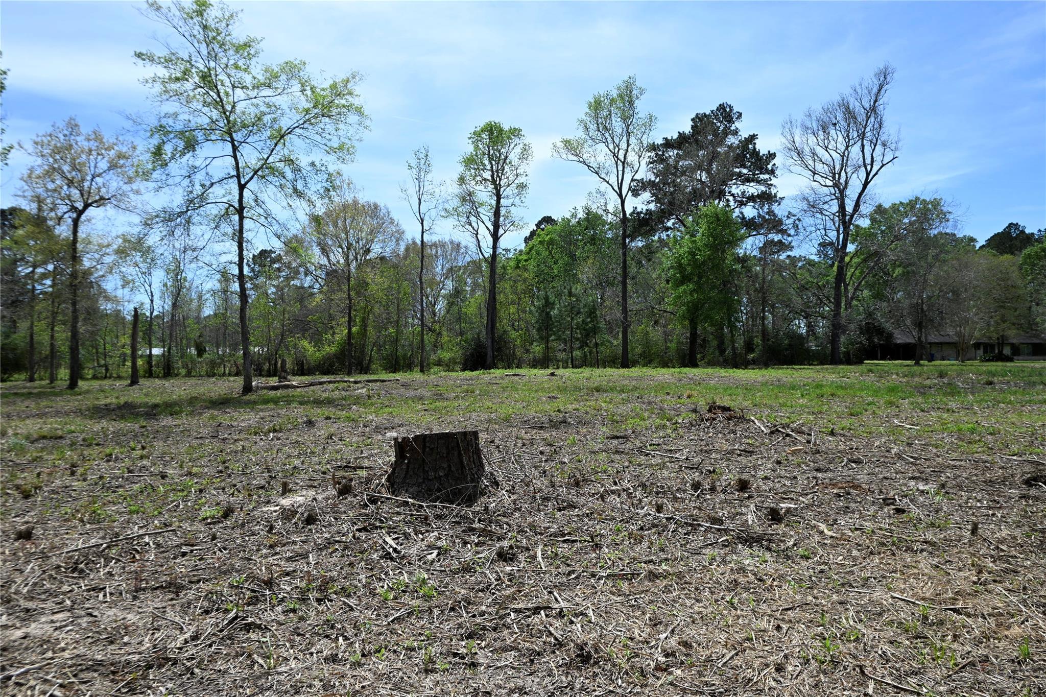 lot 3 County Road 2360