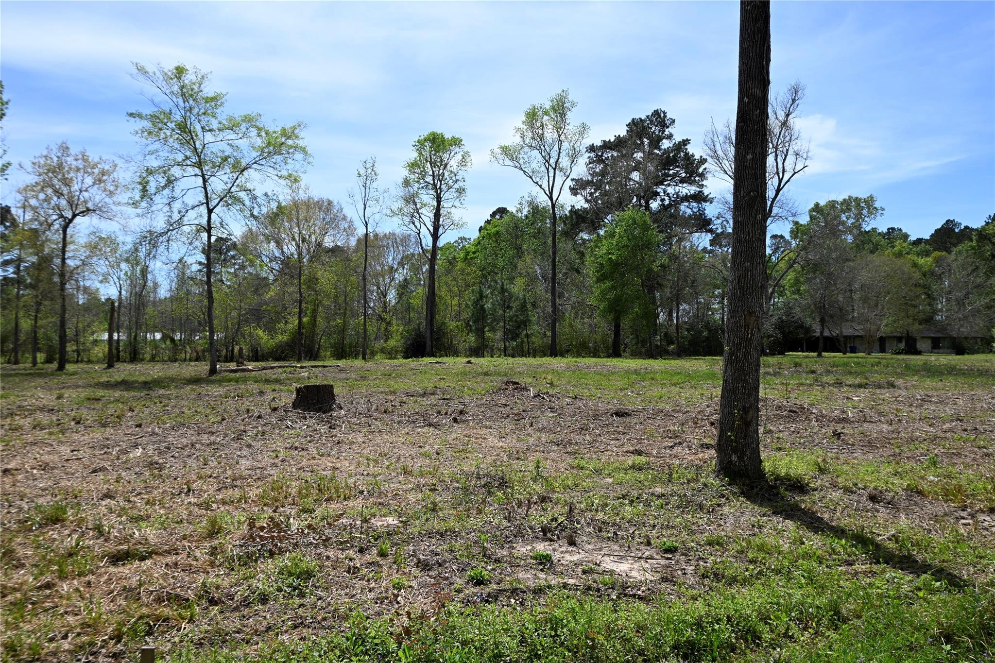 lot 3 County Road 2360