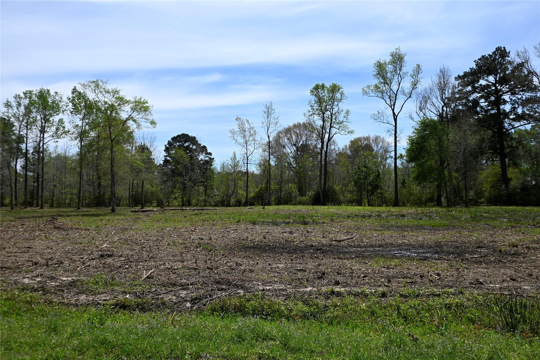 lot 3 County Road 2360