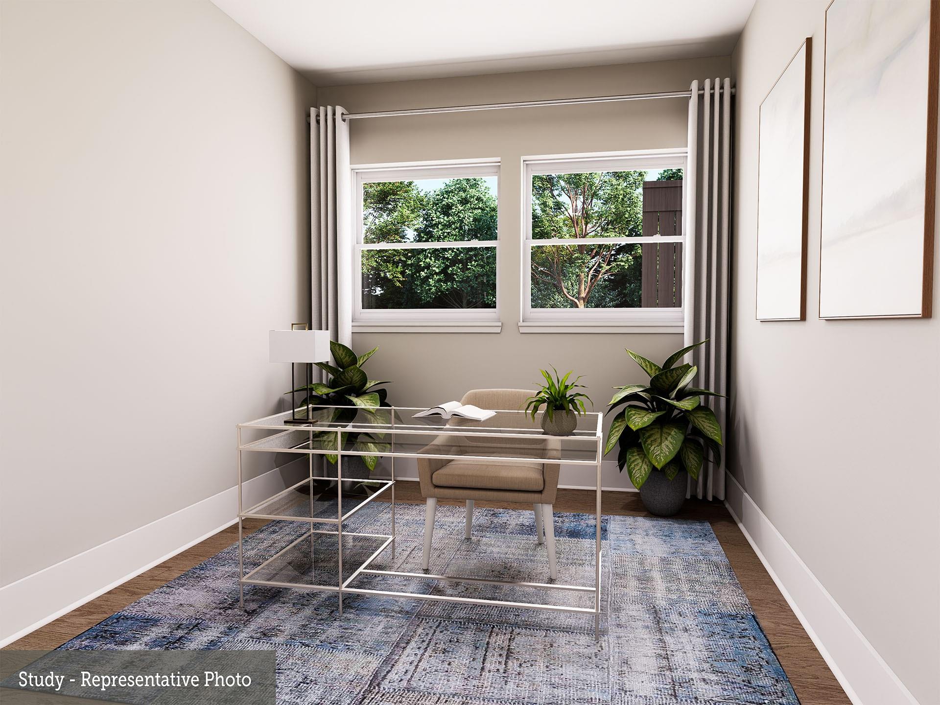 19803 Moonflower Meadow Street