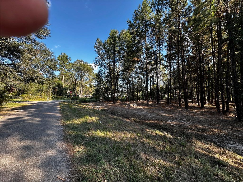 Photo of 27100 Royal Coach Ln, New Caney, TX 77357 (MLS # 82692819)