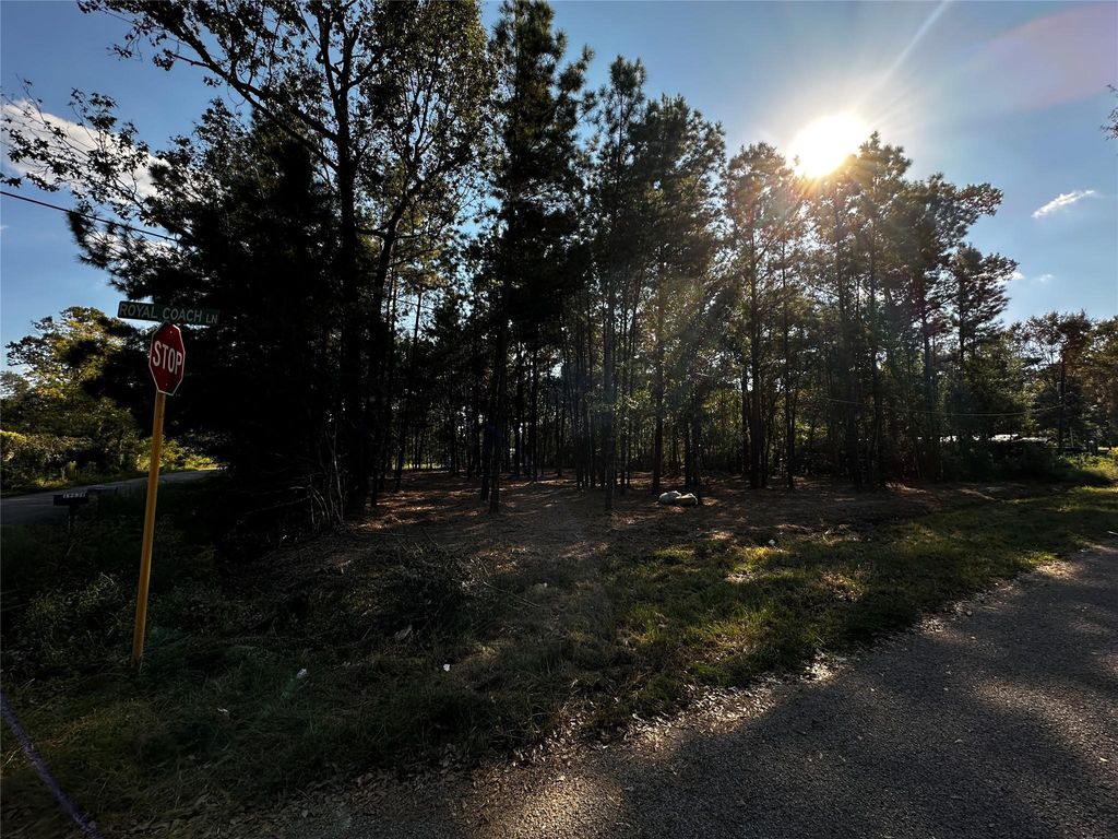 Photo of 27100 Royal Coach Ln, New Caney, TX 77357 (MLS # 82692819)