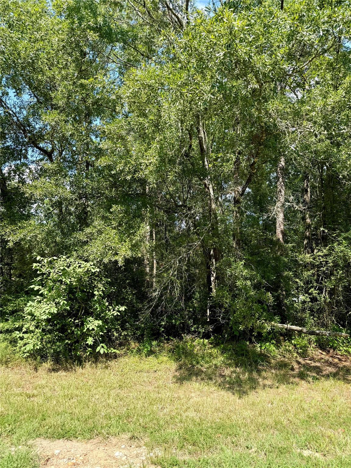 TBD Deerfield