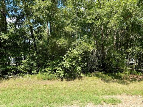 Photo of TBD Deerfield, Livingston, TX 77351 (MLS # 85065152)