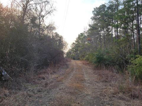 Vacant Land For Sale - 617 John Wesley Hardin Drive<br/> Corrigan, TX 75939