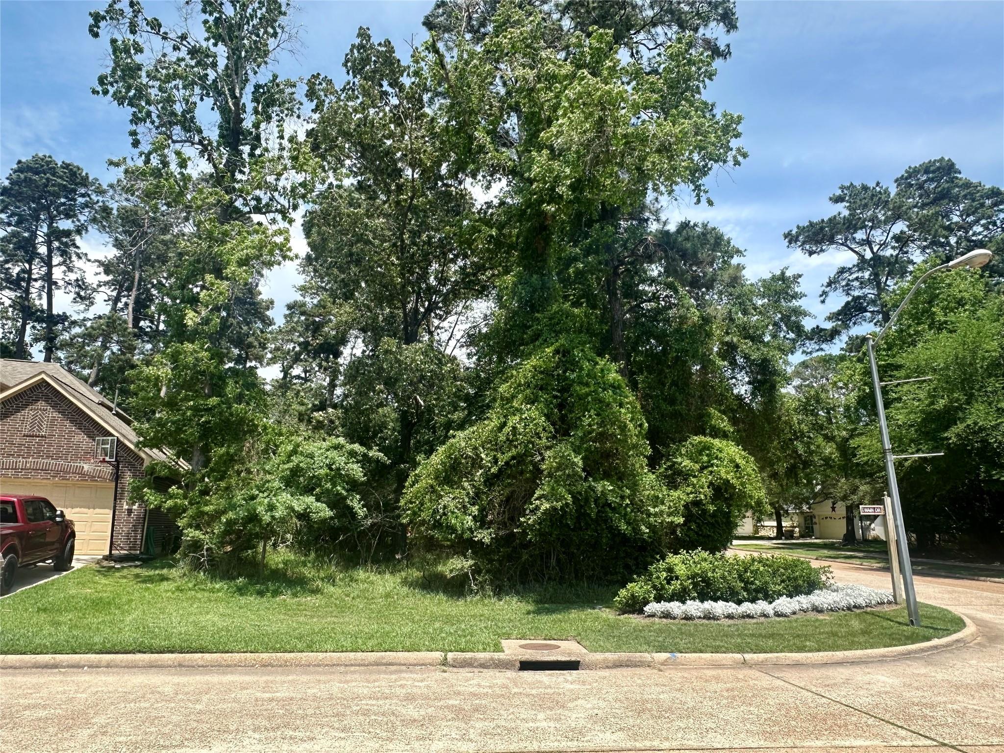 11302 Twain Drive