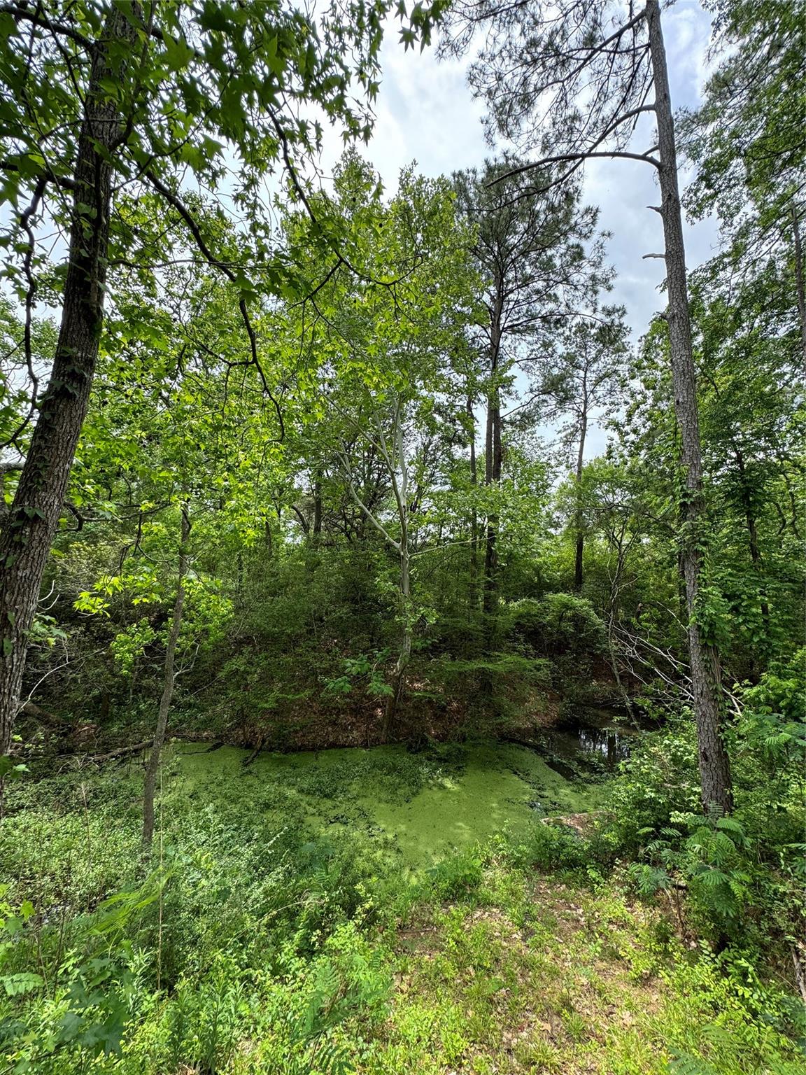 122 Barbil Lane