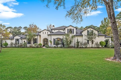 11440 Outpost Cove Drive Willis TX 77318