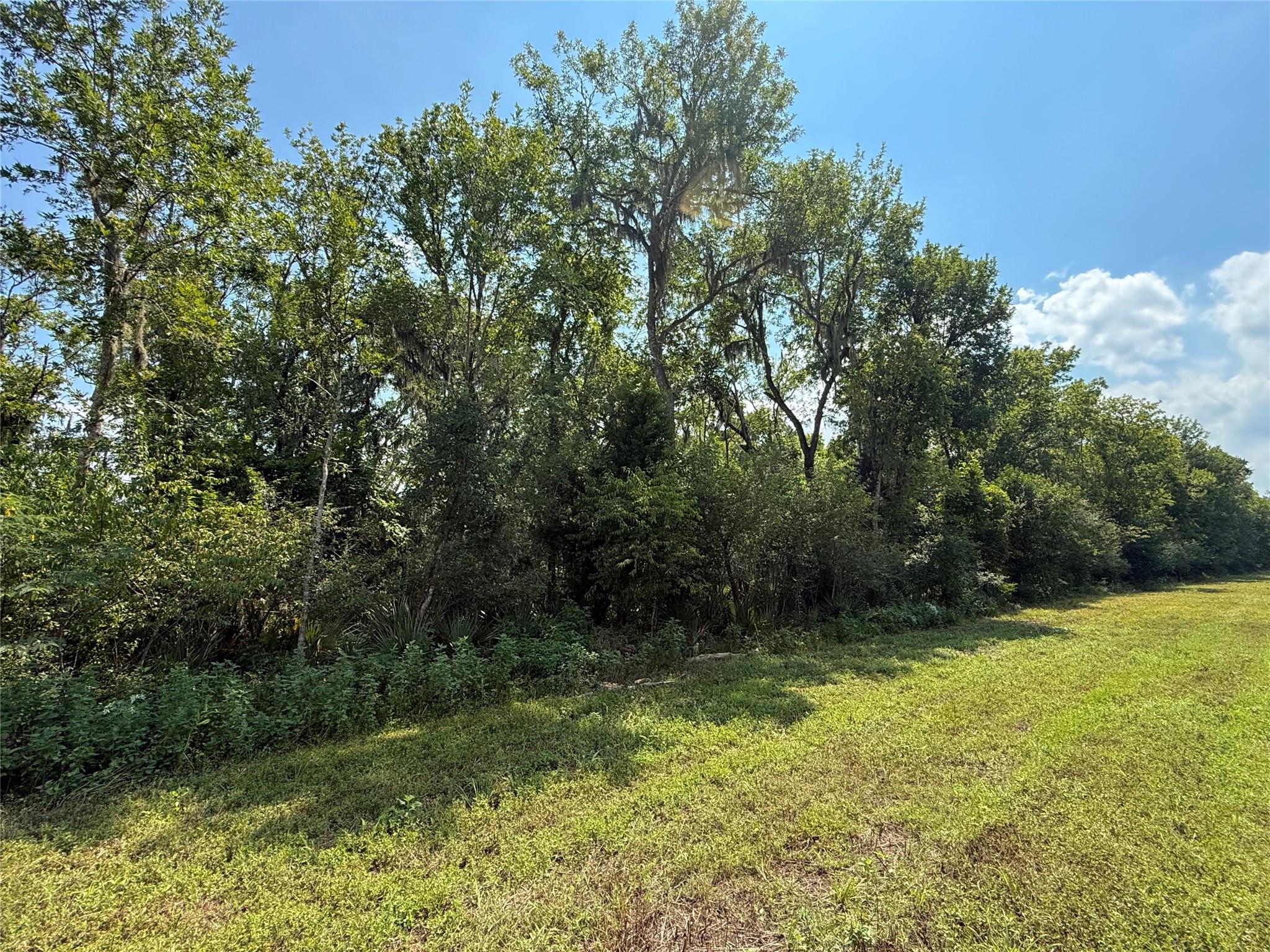 Tract 1 County Road 334