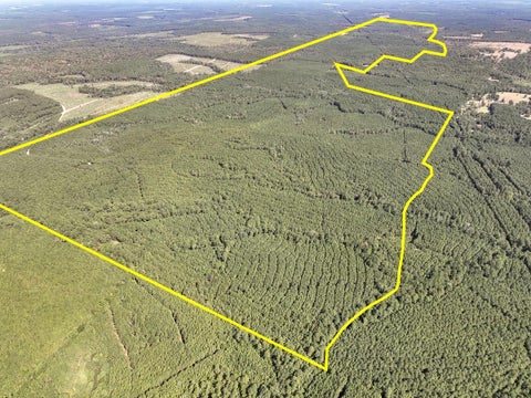 Vacant Land For Sale - T-1 Cr 2150<br/> Tyler County, Woodville, TX 75979