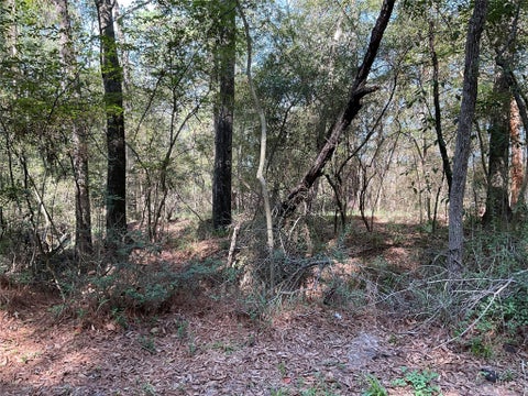 Vacant Land For Sale - Mockingbird Lane<br/> Trinity, TX 75862
