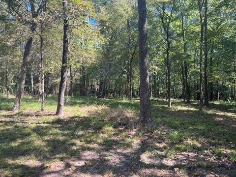 Photo of 18 Prince Circle, Coldspring, TX 77331 (MLS # 17946104)