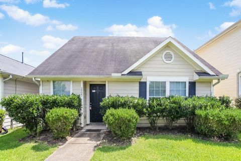 Photo of 1523 Nichole Woods Drive, Houston, TX 77047 (MLS # 42738970)