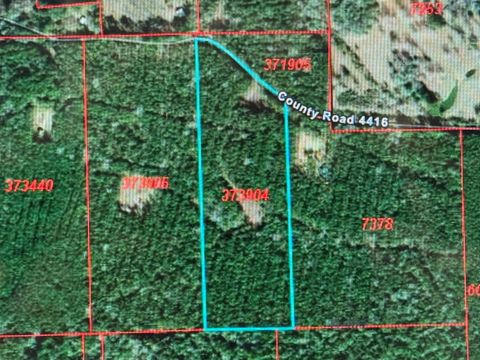 Photo of 795 County Road 4416, Spurger, TX 75979 (MLS # 66794497) Photo of 795 County Road 4416, Spurger, TX 75979 (MLS # 66794497)