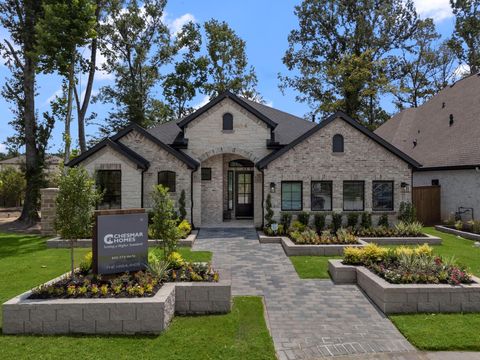 Photo of 22655 Big Stump Drive, Porter, TX 77365 (MLS # 18493274)